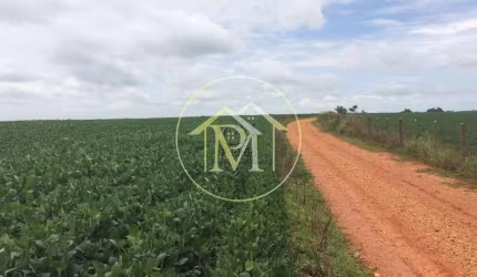 Fazenda Rural à venda, Centro (São Roque), São Roque - FA0032.