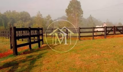 Haras com 1 dormitório à venda, 1113200 m² por R$ 16.000.000,00 - Vila Belo Horizonte - Itapetining