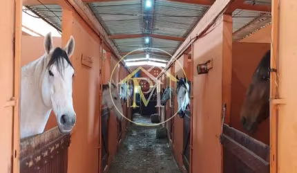 Haras com 4 dormitórios à venda, 192000 m² por R$ 3.500.000,00 - Jardim Santa Cruz - Iperó/SP
