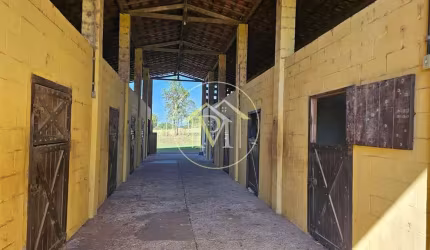 Maravilhoso haras com 20.000m2 localizado em Salto-SP a venda por 3.200.000,00