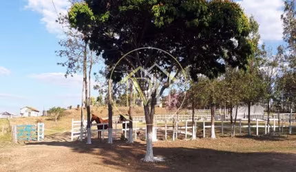 Haras Rural à venda, ,  - HA0080.