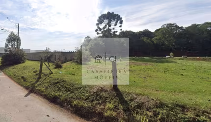 Terreno Industrial Bairro São Miguel CIC - 4.250m2