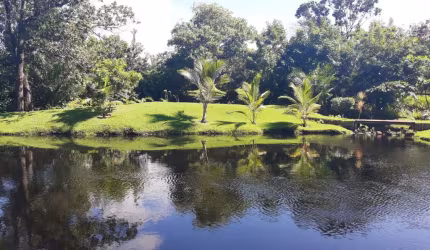 Chácara no Condomínio Parque das Árvores - Estrada do Coco , Condomínio Clube