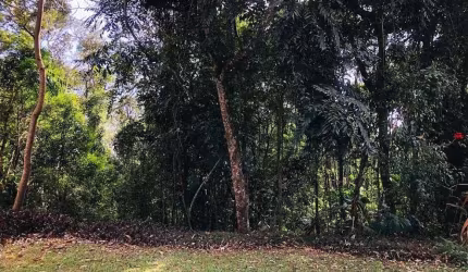 Terreno à venda na Alameda das Caneleiras, Transurb, Itapevi por R$ 225.000