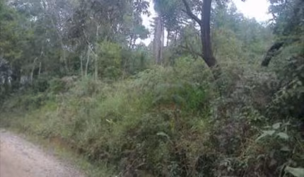 TERRENO RESIDENCIAL À VENDA, CAUCAIA DO ALTO, COTIA - TE0047.