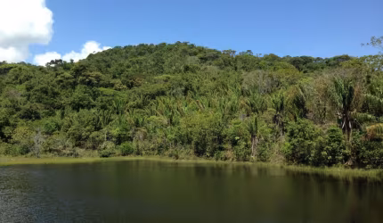 FAZENDA VALE DO CERQUEIRA