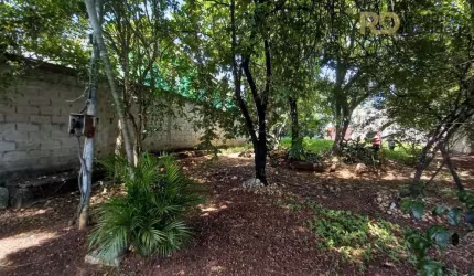 Terreno à venda no Trevo, Belo Horizonte  por R$ 550.000