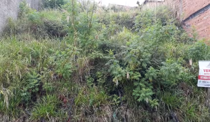 Terreno à venda no Jonas Veiga, Belo Horizonte  por R$ 280.000