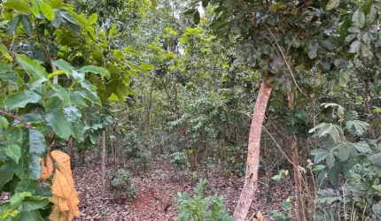 Terreno em condomínio fechado à venda no Condomínio Estancia Do Campo, Funilândia  por R$ 90.000
