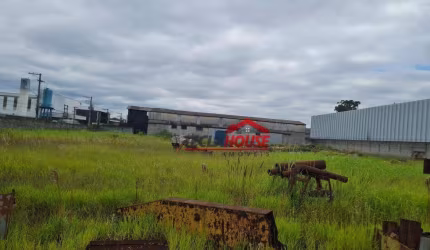 Alugo Terreno industrial Murado