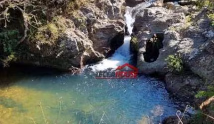 Fazenda a VENDA 1060 Hectares  45 milhões