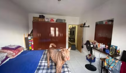 Oportunidade para investir terreno com 3 casas
