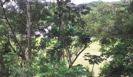 Terreno Comercial à venda no bairro Santa Fé em Osasco