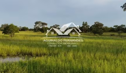 fazenda para pecuária