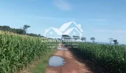 Fazenda Dupla aptidão 660 Hectares Próximo de Cuiabá MT