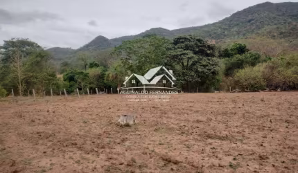 Sítio com 82 Hectares Beira de Rio, Terra de cultura