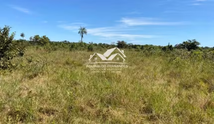 Fazenda Pecuaria 325 Hectares perto de Cuiabá MT