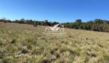 Fazenda Pecuária 135 Hectares Próximo de Varzea Grande MT