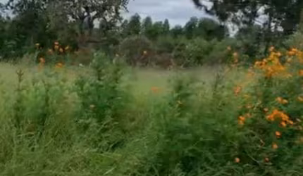 VENDE-SE 10 LOTES/TERRENO DE 10x25 CADA EM BOTUCATU-SP