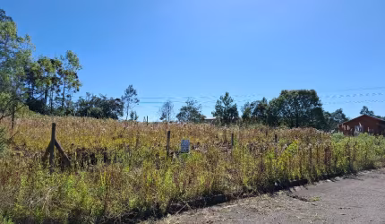TERRENO PLANO