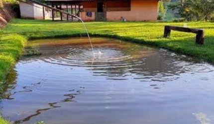 Sítio em Antônio Dias. Cód. S004. Pomar, Curral, Jardim, Piscina e várias nascentes.
