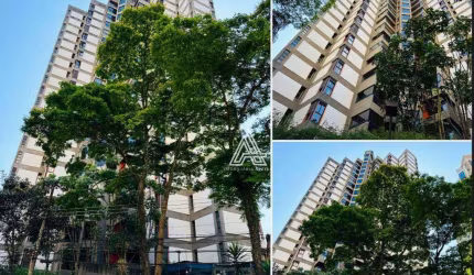 Apartamento à Venda no Bairro Jardim – 176m² – Santo André/SP