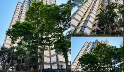 Apartamento à Venda no Bairro Jardim – 176m² – Santo André/SP