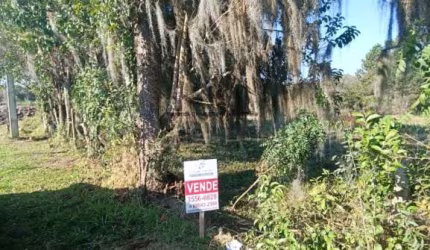 TERRENO RESIDENCIAL À VENDA, RIO PEQUENO, SÃO JOSÉ DOS PINHAIS.
