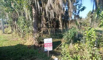 Lote de Terreno - Rio Pequeno - Aceita financiamento