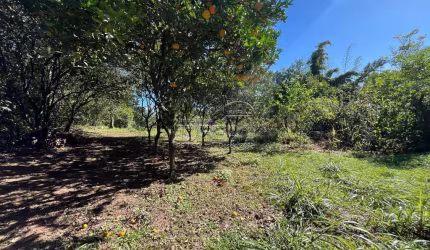 Chácara / sítio com 1 quarto à venda na California, Nova Santa Rita  por R$ 230.000