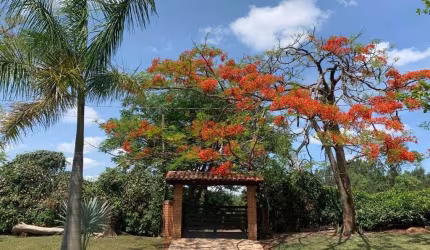 SÍTIO LOCALIZADO ÁREA RURAL NO BAIRRO ITABORAÍ - INDAIATUBA - HD INVEST