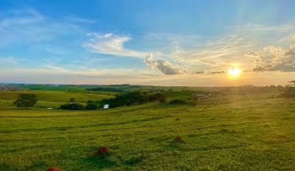 Jardim América - Cardeal - HD Invest