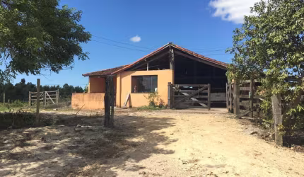 linda fazenda