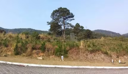 Terreno à venda na Rua Rodrigo Rampinelli Jeremias, --, Itacorubi, Florianópolis por R$ 1.326.000