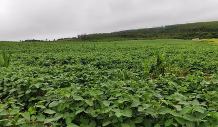 Chácara / sítio à venda na Vicinal, 1505, Zona Rural, Pilar do Sul por R$ 780.000