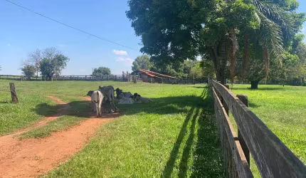 Fazenda à venda na Área Rural, Área Rural de Araranguá, Araranguá por R$ 38.000.000