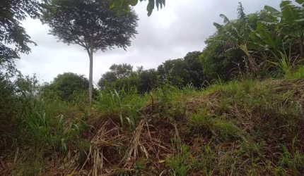 Terreno à venda na próximo a delegacia, 1010, Centro, Barão de Antonina por R$ 45.000