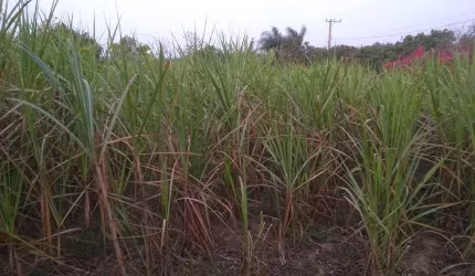 Chácara / sítio com 2 quartos à venda na rua rural, Zona Rural, Capela do Alto por R$ 550.000