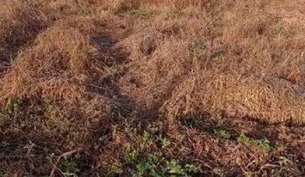 Terreno à venda na Rua Teresina, 1010, Centro, Barão de Antonina por R$ 160.000