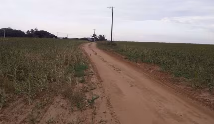 Chácara / sítio à venda no Centro, Quintana  por R$ 5.000.000