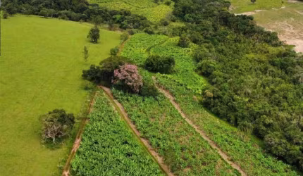 Chácara / sítio à venda na Angatuba, Centro, Angatuba por R$ 4.200.000