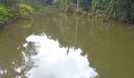 Chácara / sítio com 2 quartos à venda na vicinal, Parurú, Ibiúna por R$ 900.000