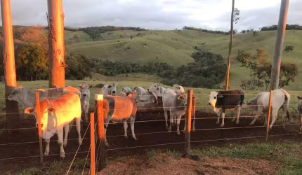 Chácara / sítio com 3 quartos à venda na Estrada Vicinal Vitor Gomes de Macedo, S/N, Área Rural de Capão Bonito, Capão Bonito por R$ 900.000