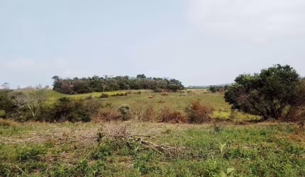 Chácara / sítio à venda na Sitio Em Carlópolis, Zona Rural, Carlópolis por R$ 1.600.000