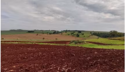 Fazenda à venda na Pradópolis, Zona Rural, Pradópolis por R$ 25.000.000