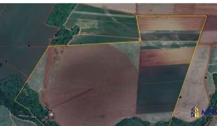 Fazenda à venda na Miguelópolis, Zona Rural, Miguelópolis por R$ 32.000.000