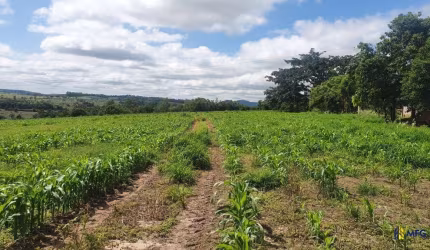 Chácara / sítio à venda na Botucatu, Zona Rural, Botucatu por R$ 3.500.000