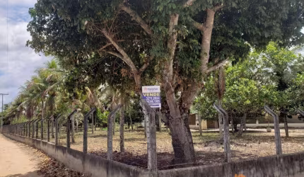 Chácara Feira de Santana