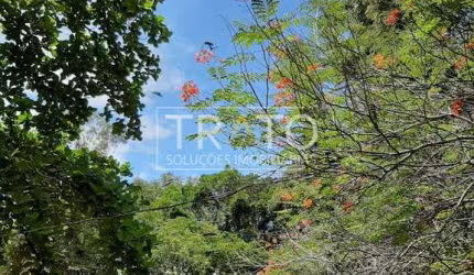 Chácara / sítio com 23 quartos à venda na Ribeirão Claro, 1, Residencial Monte Claro, Ribeirão Claro, 4000 m2 por R$ 14.900.000