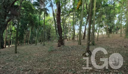 Terreno em condomínio fechado à venda na Rua Alcatrazes, Chácara Flora, São Paulo por R$ 6.150.000